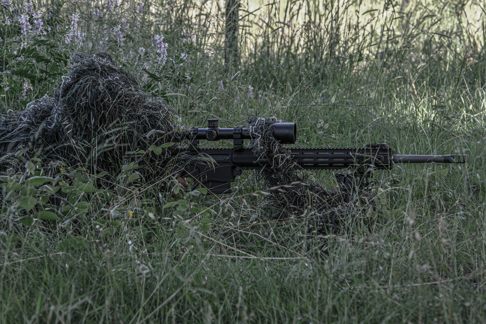 MSR308 Optik